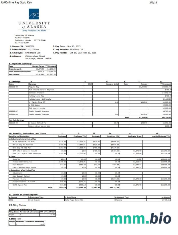 University of Alaska pay stub Word and PDF template